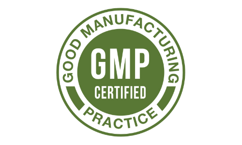 GMP Image
